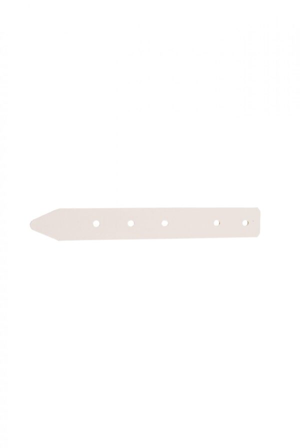 Strippe 20x150mm Anhänger Shop